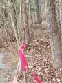 Tbd Siler City Snow Camp Road - Photo 52