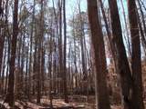000 Billabong Lane - Photo 13
