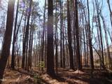000 Billabong Lane - Photo 8