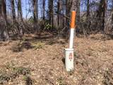 Lot-2 00 Goodman Road - Photo 24