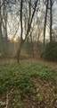 3308 Forest Mill Circle - Photo 47