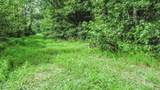 Lots Nichols Avenue - Photo 4