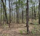 0 Lot 336 Forest Hills Drive - Photo 1