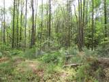 249 Lindo Johnson Road - Photo 4