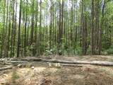 249 Lindo Johnson Road - Photo 5