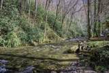 4989 Buffalo Road - Photo 43