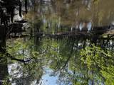 0 Nc  11 Highway - Photo 16