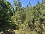 1000 Hopson Road Extension - Photo 15