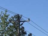 6353 Grandale Drive - Photo 9
