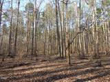 0 Noel Tuck Road - Photo 17
