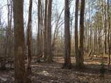 0 Noel Tuck Road - Photo 18