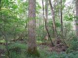 0 Noel Tuck Road - Photo 6
