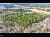 Lot 1 C Turkey Buzzard Lane - Photo 2