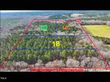 Lot 1 C Turkey Buzzard Lane - Photo 4