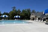 163 Fish Camp Drive - Photo 10