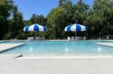 163 Fish Camp Drive - Photo 9