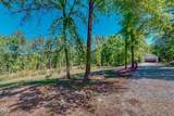 734 Crystal Forest Drive - Photo 86
