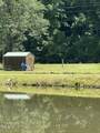 1694 Polly Spout Road - Photo 5