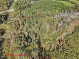 281 Karen Calhoun Road - Photo 8