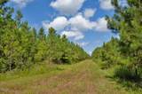 0 Buckhorn Road - Photo 11