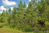 0 Buckhorn Road - Photo 14