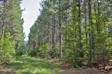 0 Buckhorn Road - Photo 17