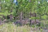 0 Buckhorn Road - Photo 19