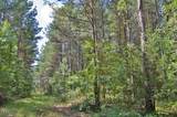 0 Buckhorn Road - Photo 20