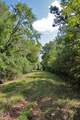 0 Buckhorn Road - Photo 3