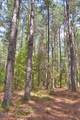 0 Buckhorn Road - Photo 32