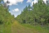 0 Buckhorn Road - Photo 34