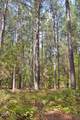 0 Buckhorn Road - Photo 38