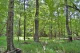 0 Buckhorn Road - Photo 42