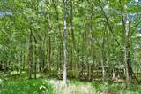 0 Buckhorn Road - Photo 46