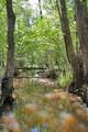 0 Buckhorn Road - Photo 47