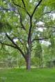 0 Buckhorn Road - Photo 54