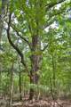 0 Buckhorn Road - Photo 55