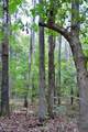 0 Buckhorn Road - Photo 59