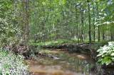 0 Buckhorn Road - Photo 6