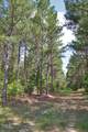 0 Buckhorn Road - Photo 8