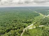 Tract C Chicken Bridge Road - Photo 19