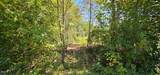 Lot 56 Billings Hill Church Road - Photo 1