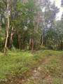 380 Cooper Branch Road - Photo 6