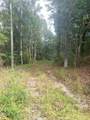 380 Cooper Branch Road - Photo 8