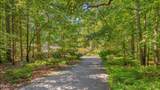 6625 Creek Wood Drive - Photo 2
