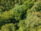 0 Tom Wright Road - Photo 24