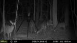 2102 Pleasant Union Road - Photo 38