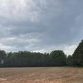 1000 Club Pond Road Road - Photo 5