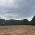 1000 Club Pond Road Road - Photo 6