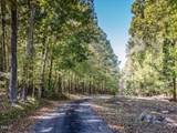 0 Old Lystra Road - Photo 13